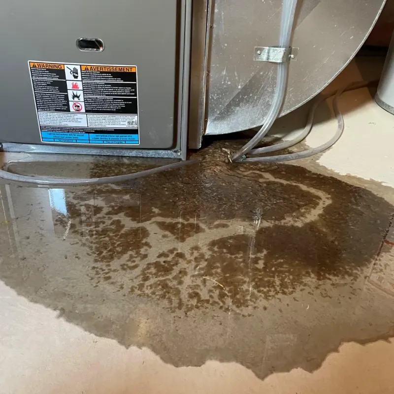 Appliance Leak Cleanup in Miami County, IN